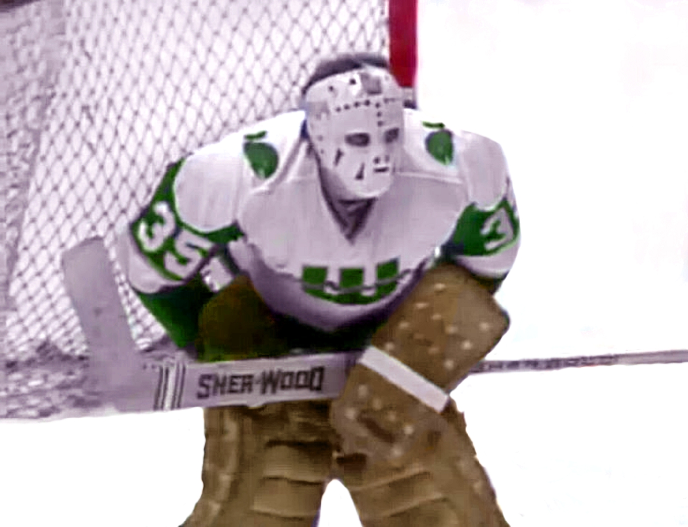 This Day In Hockey History-May 7, 1976-Aeros frustrated by rookie goalie