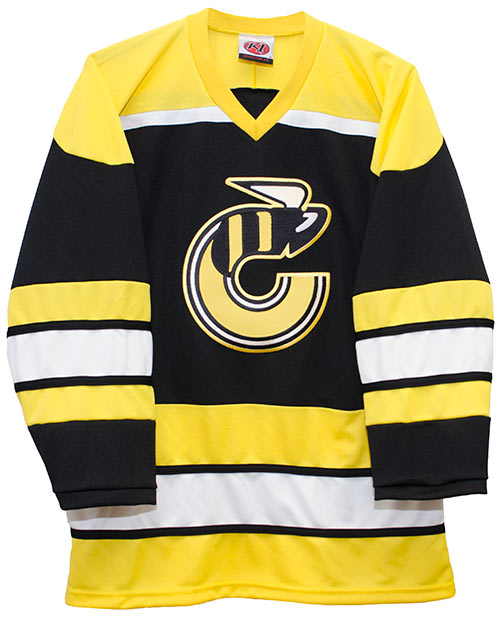 This Day In Hockey History-May 8, 1973-Cincinnati Gets WHA Franchise